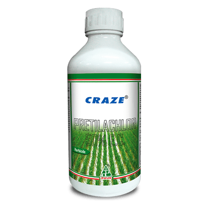 CRAZE