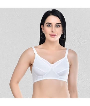 Zourt - White Cotton Solid Womens Maternity Bra ( Pack of 1 ) - 40B