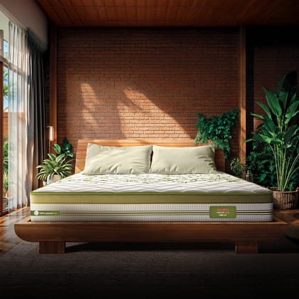 Reva Mattress-Single / 72 X 36 (1.83 m x 92 cm) / 6 (15.2 cm)