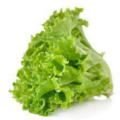 Lettuce Green 1 kg