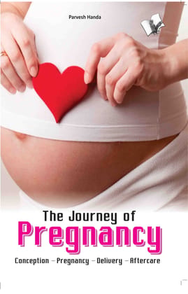 The Journey of Pregnancy