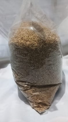 Foxtail (Kangani) Millet (1kg)