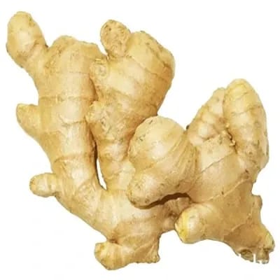 Ginger - New (Adrak)