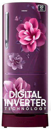 Samsung 183 L 4 Star Digital Inverter Direct-Cool Single Door Refrigerator RR20C1824CRHL Red Camellia Purple Base Stand Drawer 2024 Model-Samsung 183 L, 4 Star, Digital Inverter, Direct-Cool Sing