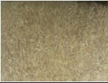 ORGANIC BASMATI WHITE RICE