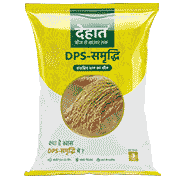 PADDY GAPL HYBRID SAMRIDHI
