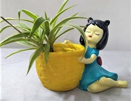 HC VILLA Resin Beautiful Handcraft Nature Friendly & Peaceful Cute Dreaming Fairy Girl with Succulent Basket Planter Pot (Pack of 2)