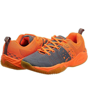 Vector X Gray Indoor Court Shoes - 6