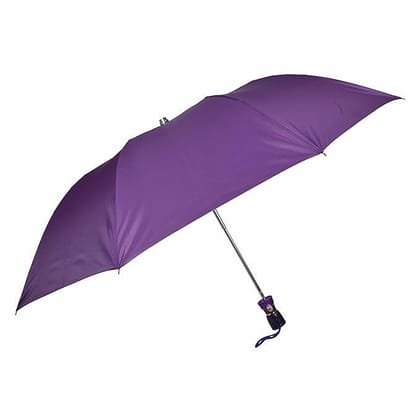 Fendo UMBRELLAS For Men/Umbrella for Women| 21 Inches 2 Fold Auto Open & Close | Umbrella for Travel | Premium Umbrella For Kids(Mid Violet /Silver)