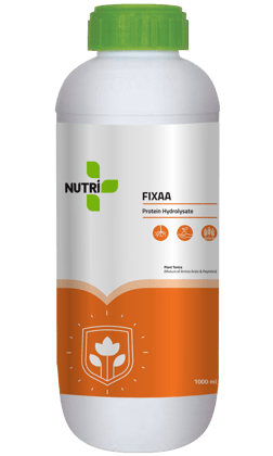 NUTRI ONE FIXAA