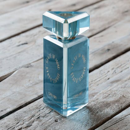 Open Mind-Parfums de lâ€™Esprit / 100ml / Unisex