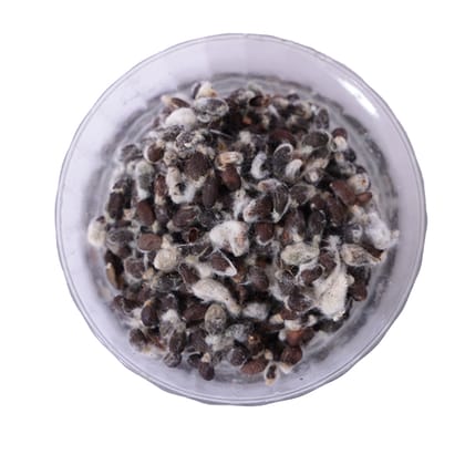 PARUTTHI VIDHAI 100 G
