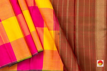 Borderless Multi Coloured Checks Kanchipuram Silk Saree Handwoven Pure Silk Pure Zari For Party Wear PV NYC 494