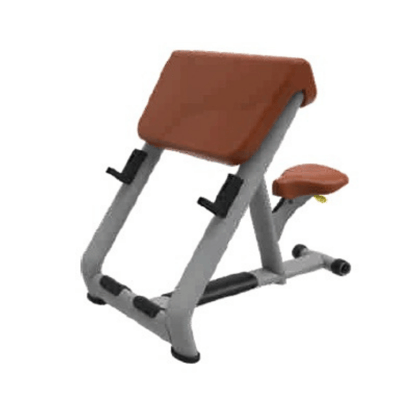 Luxury Scott Bicep & Barbell Curl Bench ER-23