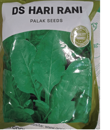 GAPL DS HARI RANI PALAK