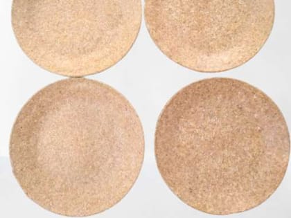 BIODEGRADABLE SNACK PLATES- 6 INCH ROUND-40 NOS