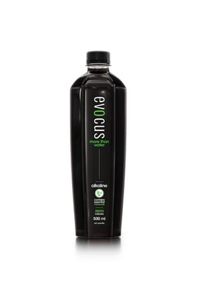 Evocus Black Alkaline Drink | 8+ pH | Pack Of 12 (500Ml Each)