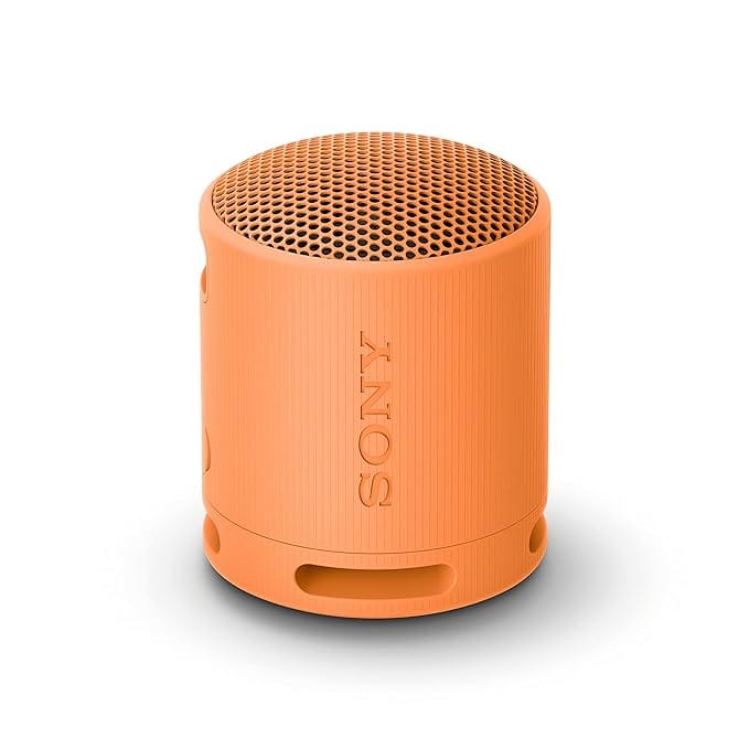 SONY SRS-XB100 2.5W Portable Bluetooth Speaker (IP67 Waterproof, DSP Technology, 1.0 Channel