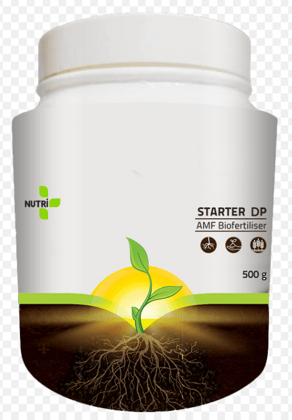 NUTRI ONE STARTER DP