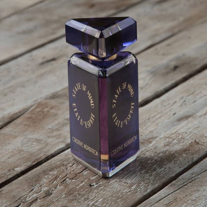 Creative Inspiration-Parfums de lâ€™Esprit / 100ml / Unisex