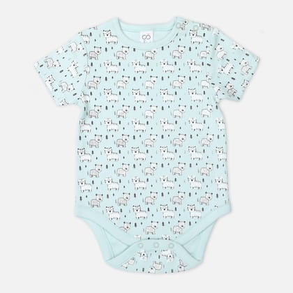 Cat Onesie-Newborn