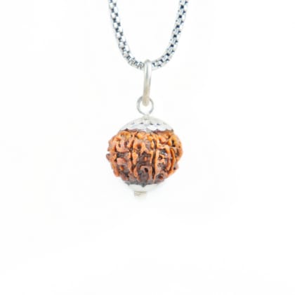 Silver Capping 11 Mukhi Rudraksha Pendant With Chain ( Nepali )-Only Rudraksha