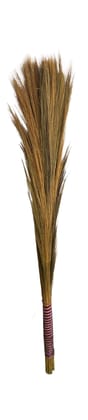 Broom Organic 1pc