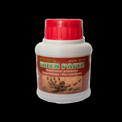 Green Pacer (Metarhizium anisopliae) - 120 mL