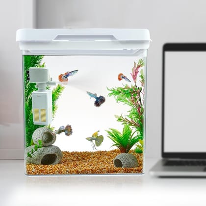 Buraq 4K Transparency Fashion Aquarium Mini Fish Tank with Filter & Light, Polycarbonate Material, Suitable for Home, Living Room and Office (26" L x 19" W x 28" H Cm)