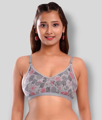 Elina - Grey Melange Cotton Non - Padded Womens T-Shirt Bra ( Pack of 1 ) - 36B