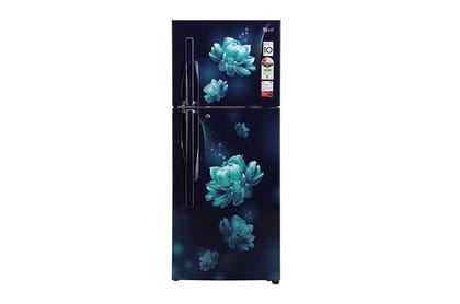 LG 242 L 2 Star Direct-Cool Inverter Single Door Refrigerator GL-GLN292BBCY-Blue Euphoria