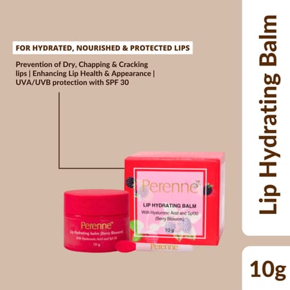 Perenne Lip Hydrating balm (Berry blossom) With Hyaluronic acid and SPF 30 (10 gm)-Pack Of 1 (10gm)