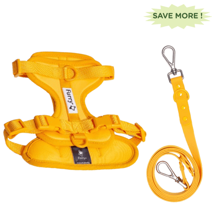 Furry  Co Bold Harness and Leash for Dogs Combo Mango - L-Furry & Co Bold Harness and Leash for Dogs Combo (Mango) - L - Set of 2