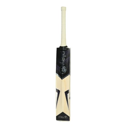 Centaur B-FULL / Black/Silver / English Willow Bat