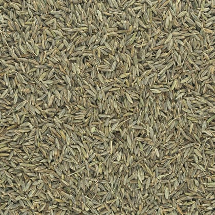 Cumin from Gujarat - whole-50 gm - whole