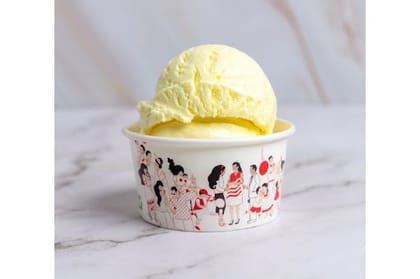 Vanilla Ice Cream