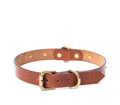 BIG DOG COLLAR RD. STUD-Tan / Small