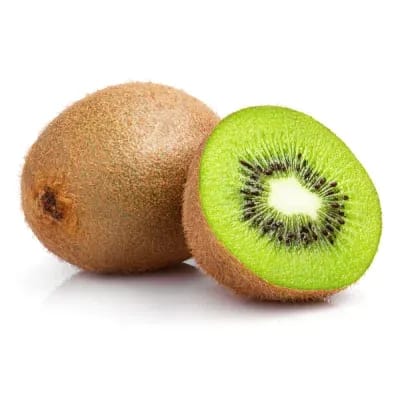 Kiwi - Green (Small) - Imported