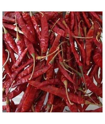 UPPAL SONS RED CHILLY TEJA WITH STEM 800 gm