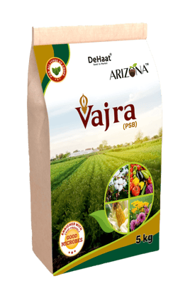VAJRA
