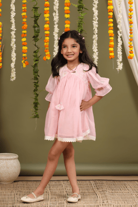 Pink Embroided Lacy Dress-0-6 months