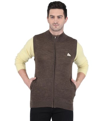 Monte Carlo - Brown Woollen Mens Regular Fit Pullover Sweater ( Pack of 1 ) - None