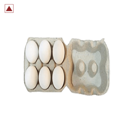 Poultry Chicken Eggs, 6 Pcs