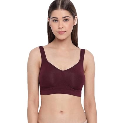 Enamor A142 Full Support Stretch Cotton Everyday Bra for Women - Non Padded Non Wired Full Coverage-GRAPEWINE / 34D