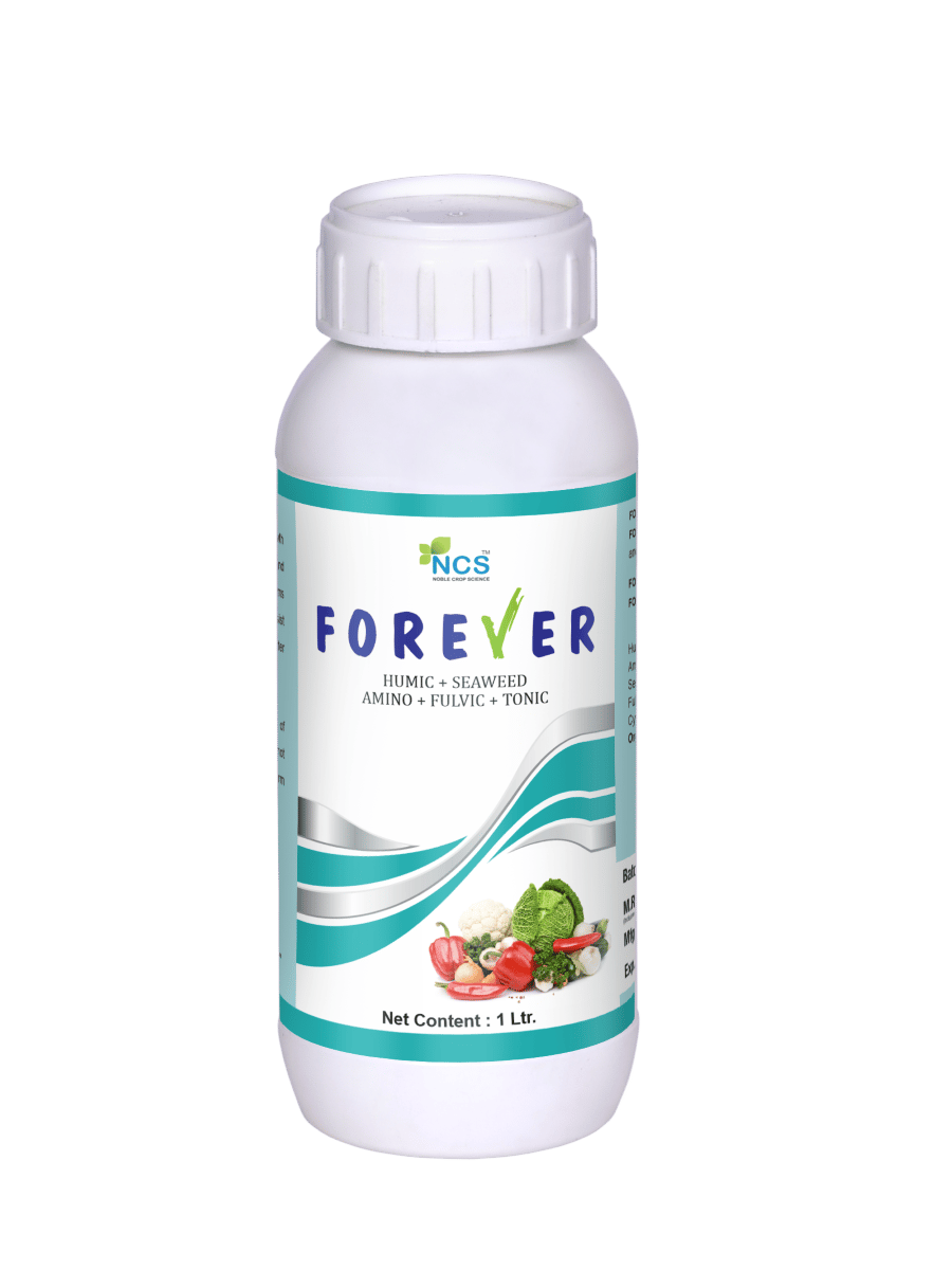 FOREVER - 1 L