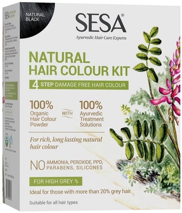Sesa - Henna Natural Semi Permanent Hair Color 240