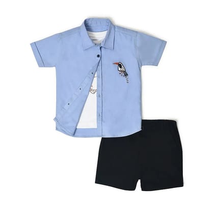 Baby Boy Shirt & Shorts Set-6-9 M / Blue