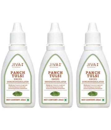 Jiva Punch Tulsi Drop For Immunity 200 ml each (Pack of 3)