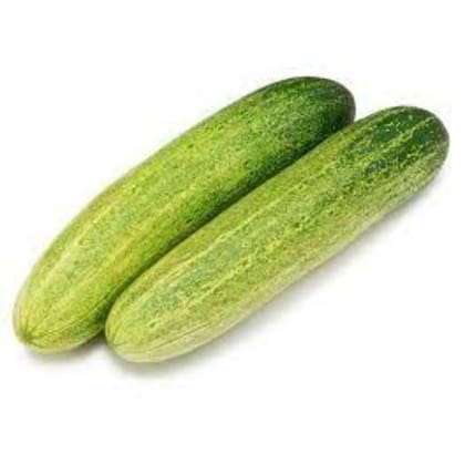 Cucumber Green 1 kg