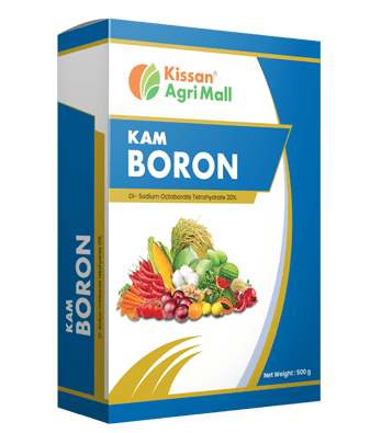 KAM BORON -500 gm